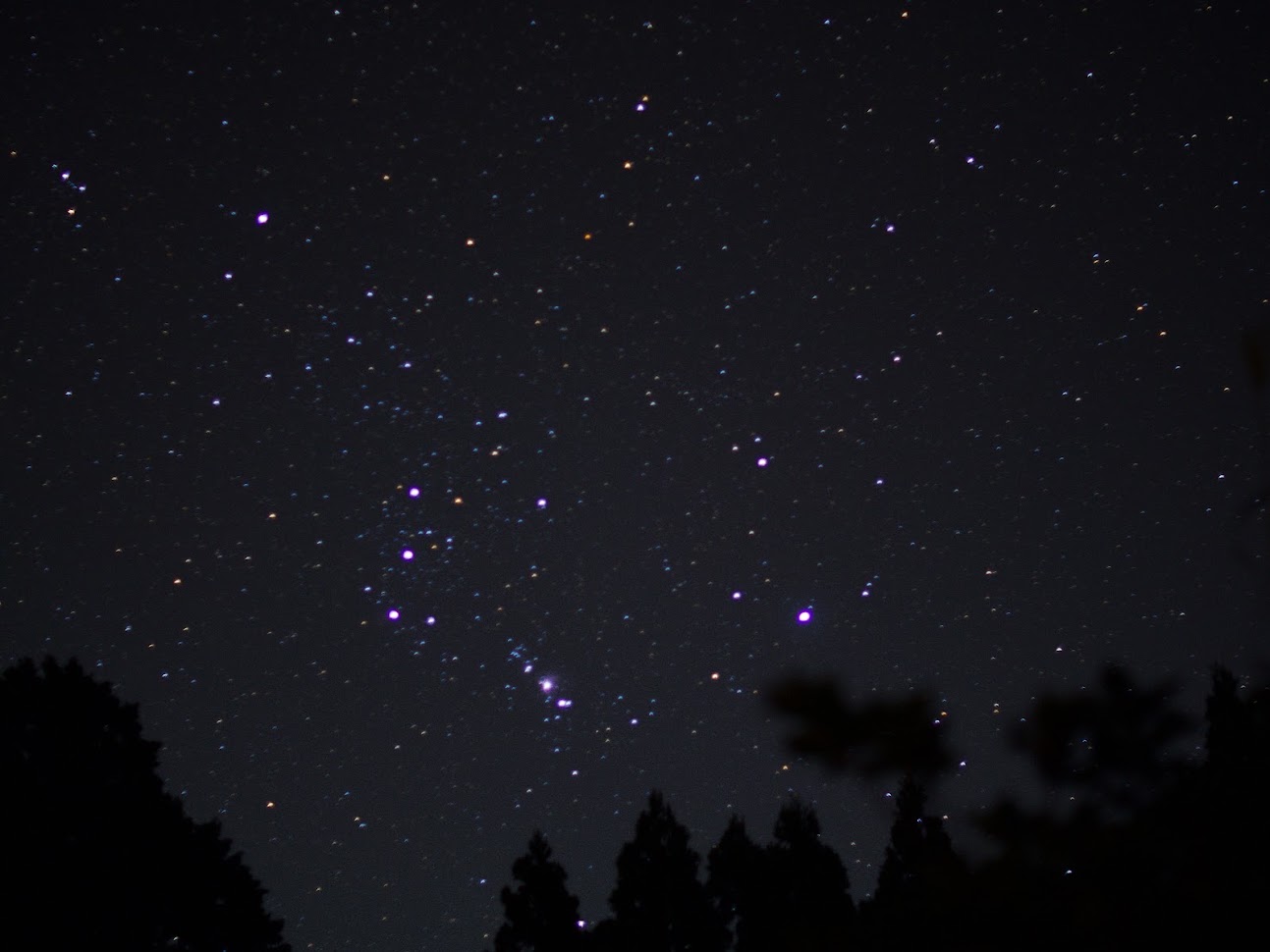 Stars
